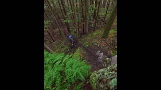 this trail is WILD