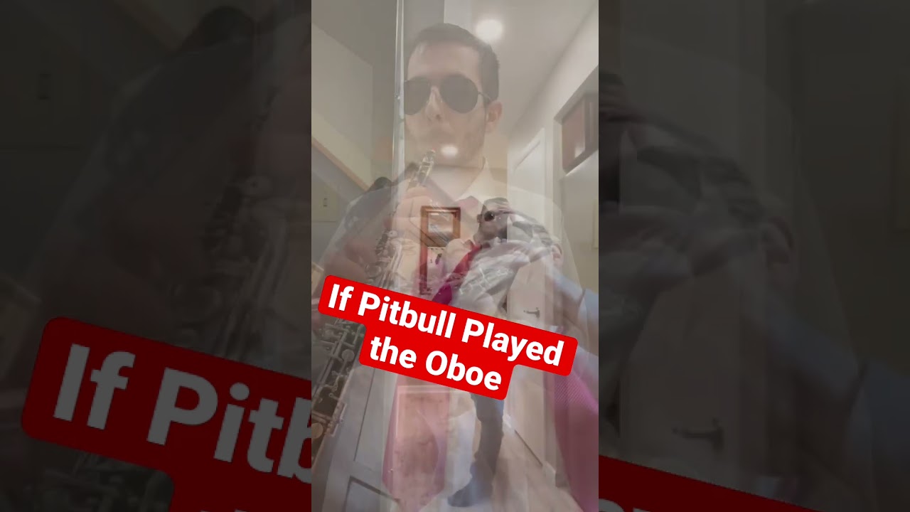 Send my love to Christina Aguilera #cringe #oboe #instrument #pitbull #christinaaguilera #funnyedit