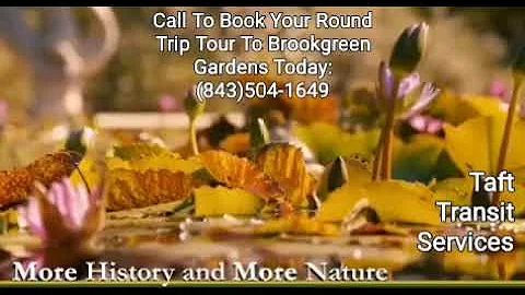 Book us for a tour to Brookgreen Gardens.