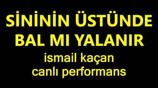 SİNİNİN ÜSTÜNDE BAL MI YALANIR ismail kaçan Resimi