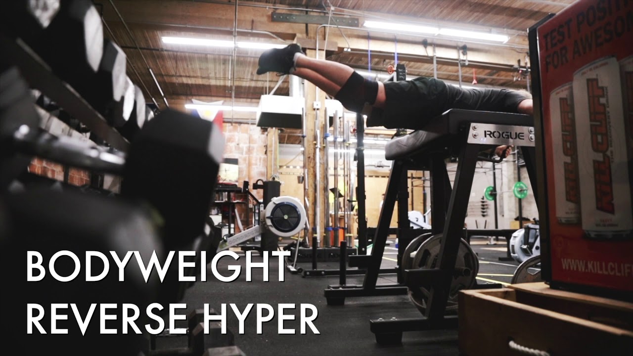 Reverse Hyper (Bodyweight)