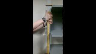 UT Elementary Differential Equations Project