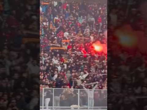 NOI SIAMO LA CURVA SUD Merda Likom Live Taraji Football Championsleague