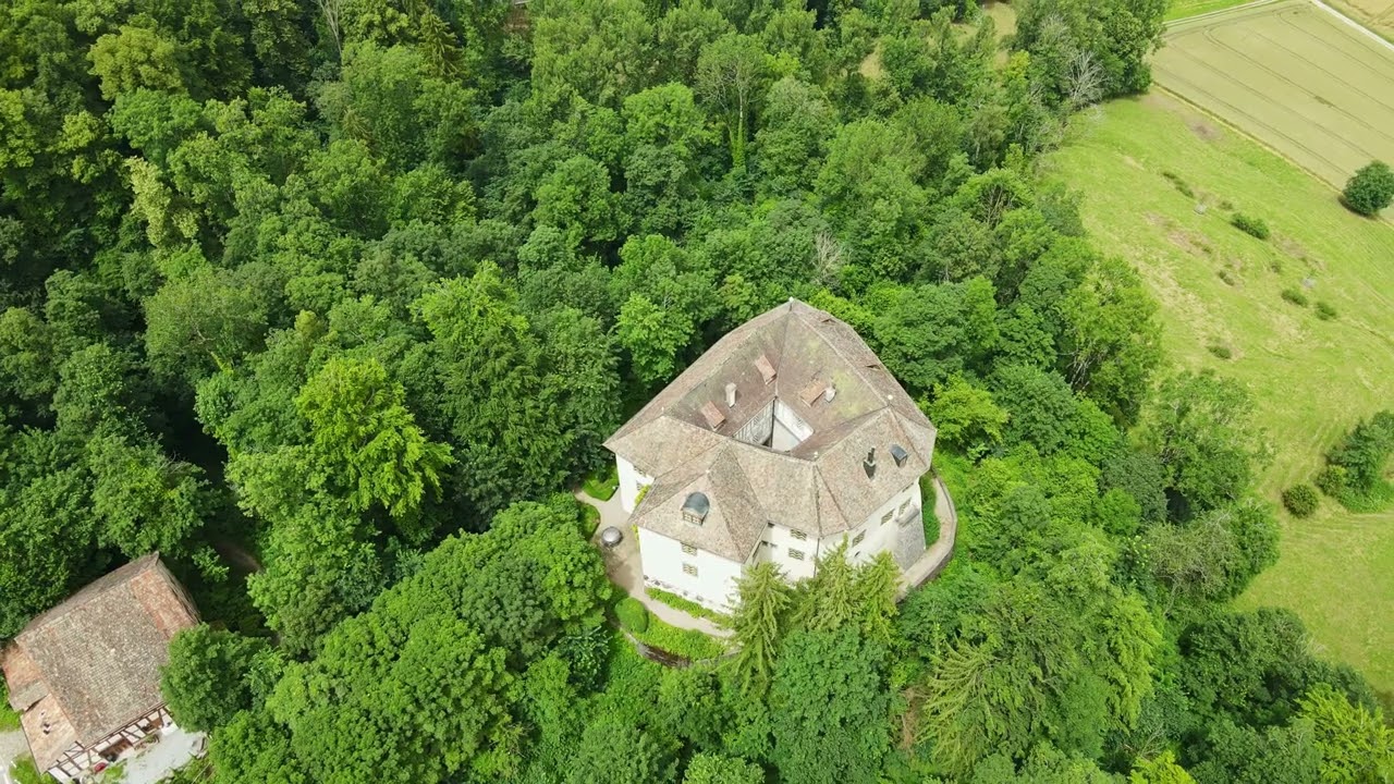 Burg Elgg (Schloss Elgg)