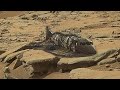 Perseverance rover footage  sol 994  mars 4k  mars new  mars 4k new  mars 4k