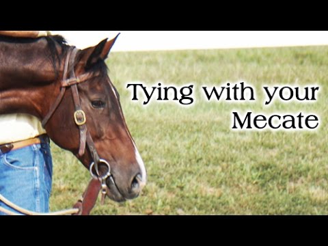 Using Your Mecate to Lead, Lunge, Tie, etc 