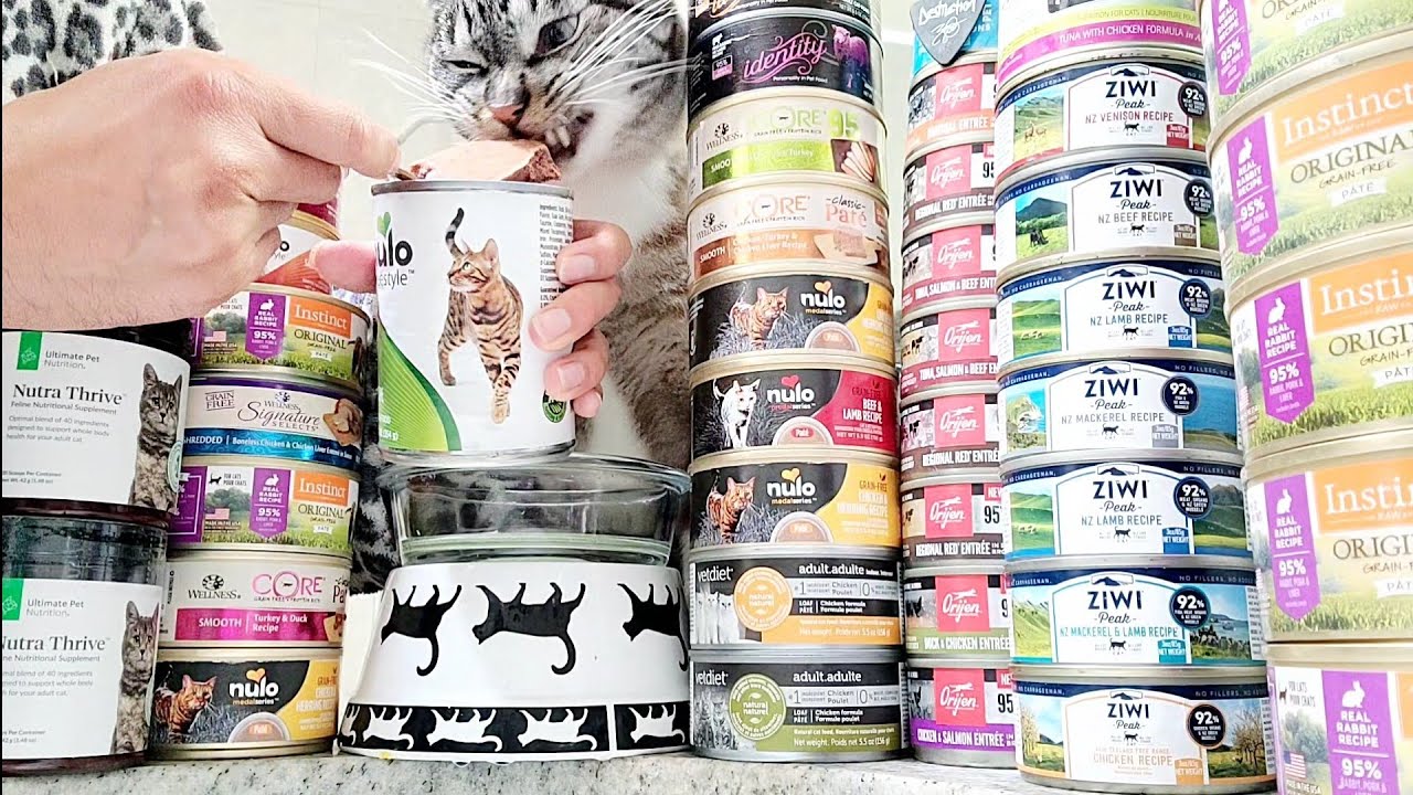 Biggest top quality wet cat food can on the market Nulo Freestyle