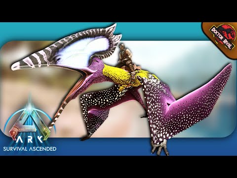 The Sea Runner "THALASSODROMEUS" Spotlight || Ark Survival Ascended
