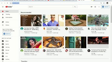 How to Open Url in Browser using Python Simple Steps
