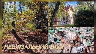 картинка: ВЛОГ ПРО НЕВ'ЯЗАННЯ✨️Прогулянки лісом, пряжа на благодійність🧶