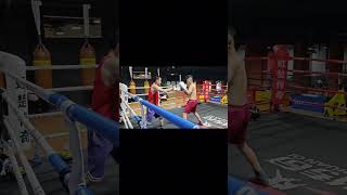Boxing drills in the ring  #boxing #fightprep #muaythai #mma #ufc #wboboxing #fighter