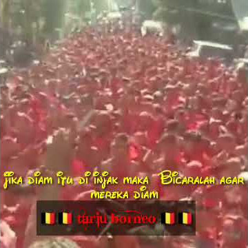 Story wa dayak tariu borneo ll cinta adat Dan budaya dayak.