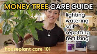 How To Care For Money Tree Plant - Watering, Light, Soil, Repotting & Fertilize -Houseplant Care 101 by Plant Life with Ashley Anita 4,008 views 2 weeks ago 22 minutes