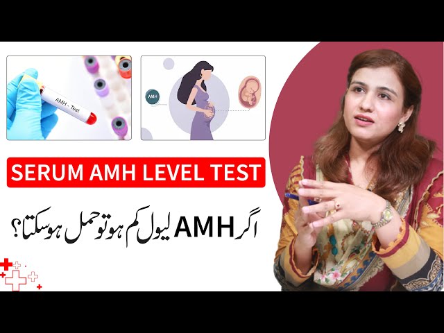 What is Serum AMH Level Test & What it indicates - Dr Maryam Raana Gynaecologist class=