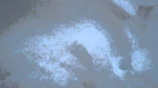 20110217 Andesite Ridge ECTV.MOV