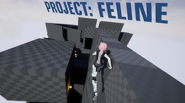 Out of the Bag | Project: Feline