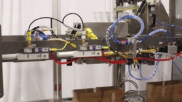 Hamrick Packaging Systems -600D-S Drop Packer Packing Glass Bottles Neck Upside Down for a Co-Packer