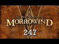 Id like less stuff to do please  lets play morrowind blind  247