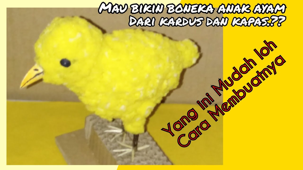 Cara membuat boneka anak ayam dari kardus  bekas dan kapas 