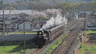 4K】2026/4/3【SLパレオエクスプレス】追っかけ記録 秩父鉄道 の小春日