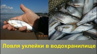 видео: Ловля уклейки в водохранилище картинка: Ловля уклейки в водохранилище