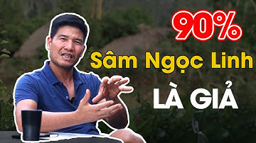 Sâm Ngọc Linh giả và thật | sâm Lai Châu giả và thật #duongsam #samlaichau