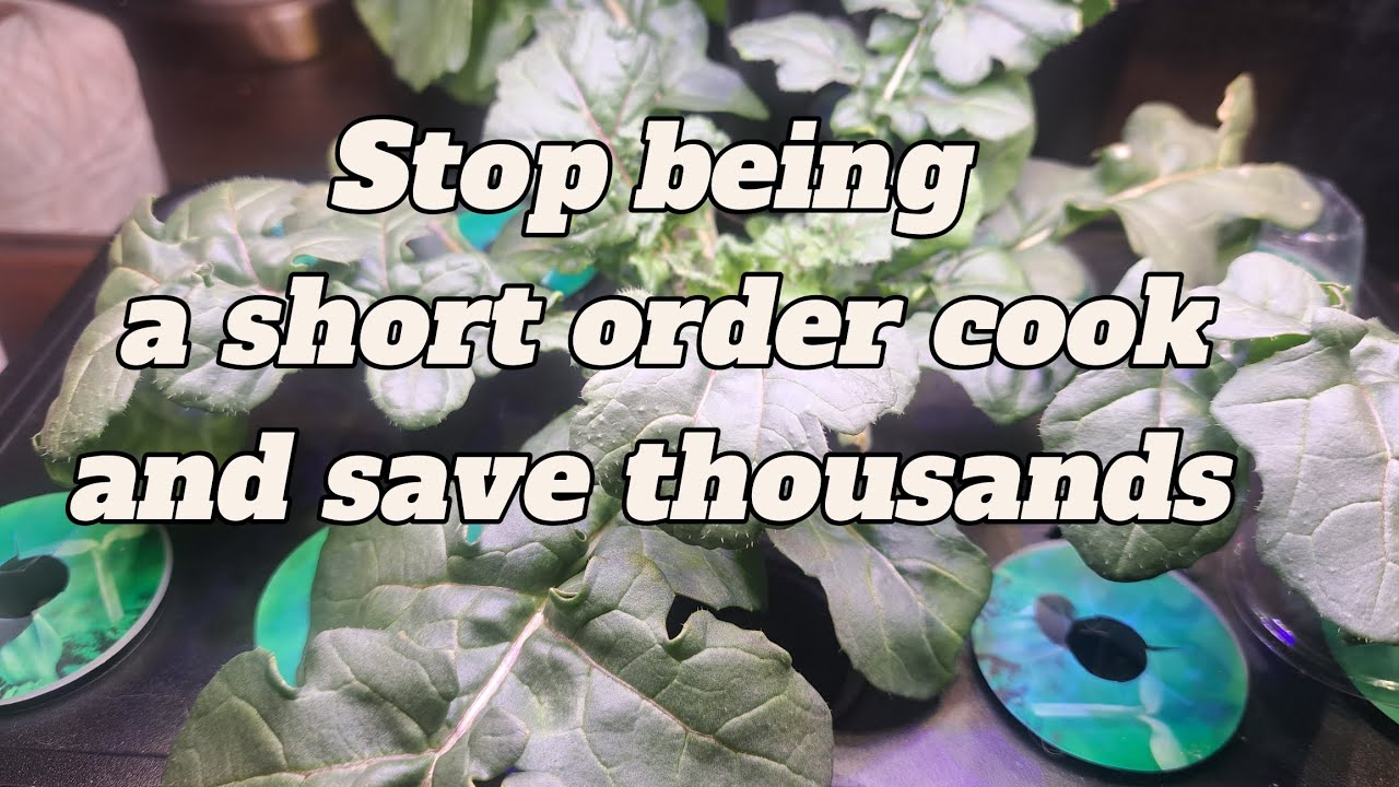 THIS IS WHY PEOPLE ARE OVER SPENDING ON FOOD....