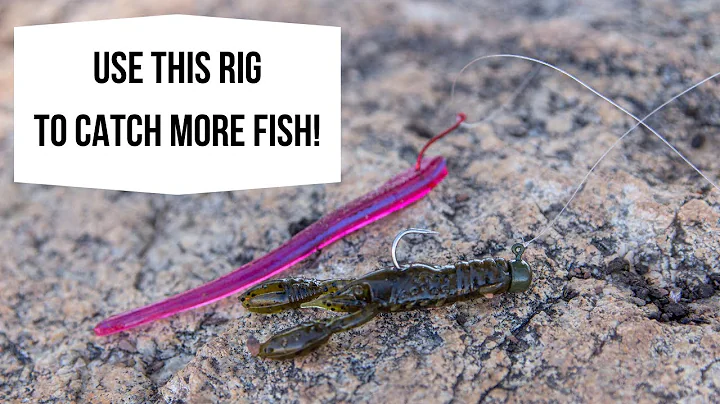 Use THIS Rig To Catch More BASS! | Drop Shot Ned Rig | The Secret Rig