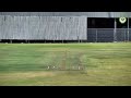 NWU Pukke vs UJ | USSA A Week 2025/26 | Distell