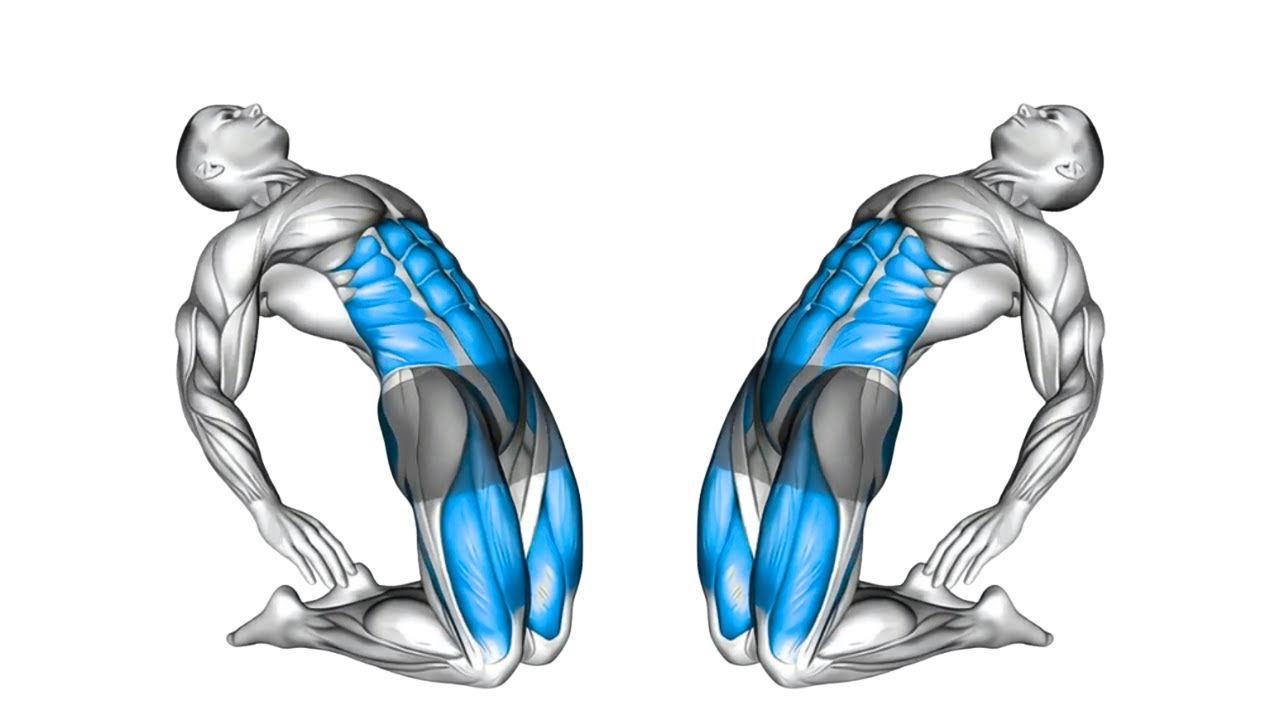 Комплекс упражнений Кегеля для мужчин 🔥 Улучшает контроль, баланс и силу мышц кора
