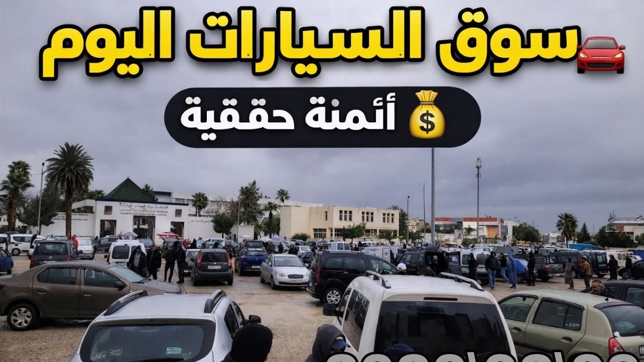 أجي تشوف سوق السيارات المستعملة 🔥 موديلات بزاف وأثمنة مفاجئة 🧐أجي تستافد من تبغي تشري تكون عندك فكرة