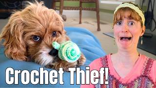 My Top 5 Crochet Projects I Can't Live Without!