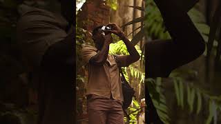 AD Campaign - Orox x Alpenglow