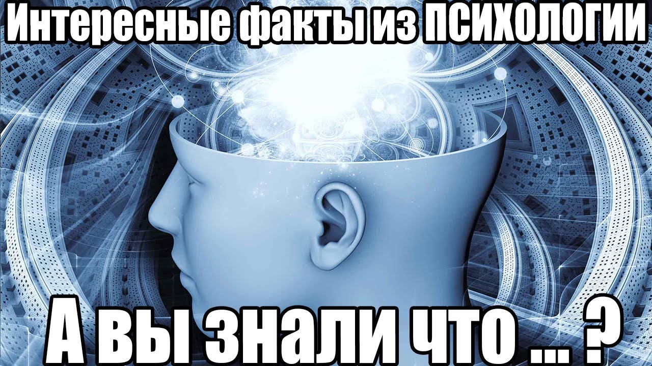 Ауди психология человека