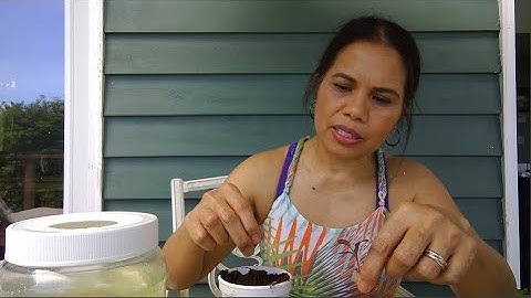 Hydroponics 101/Part 1: Quick Start with Kratky Method