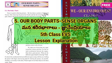 5th Class EVS Our Body Parts Sense Organs ||OUR BODY PARTS-SENSE ORGANS LESSON EXPLANATION