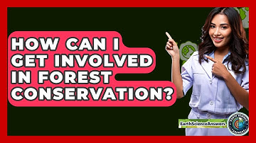 How Can I Get Involved In Forest Conservation? - Earth Science Answers