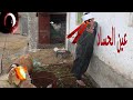 عين الحاسد تخرب البيت همام الحساد 