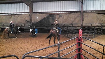 WilluAcceptThisRose - Juan Pablo - sorting practice 3 - Valley View Ranch