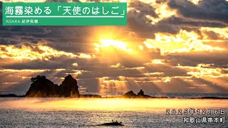 動画】海霧シーズン到来 「天使のはしご」と共演、和歌山県串本町田原
