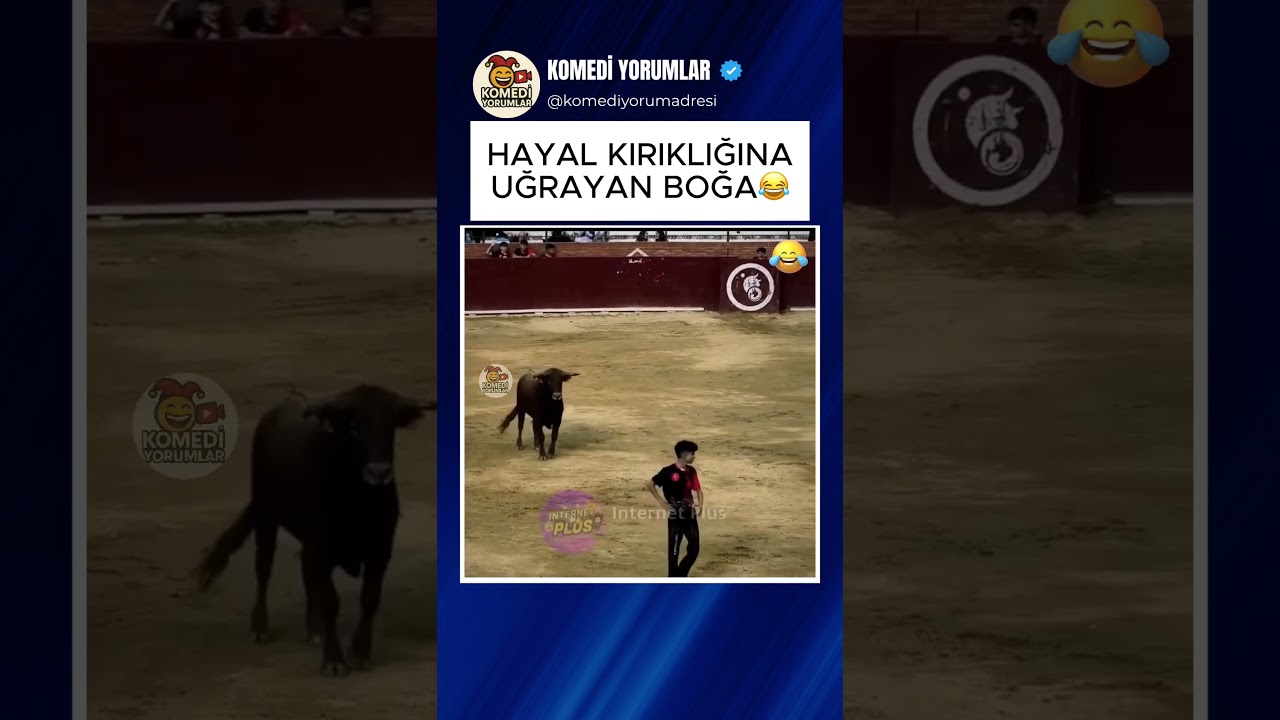 MATADORUN ZEKİCE ÇALIMI: BOĞA NEYE UĞRADIĞINI ŞAŞIRDI!  😂#shorts #komikyorumlar