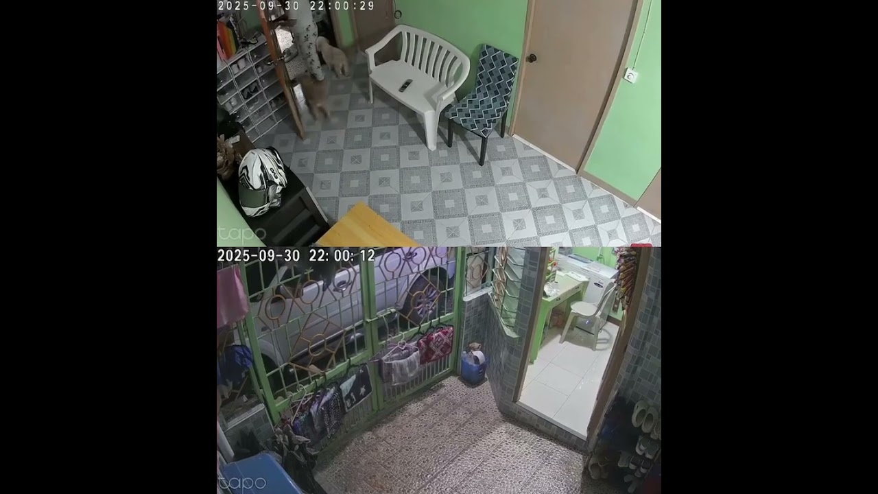 CCTV captures 6.9-magnitude quake in Northern Cebu