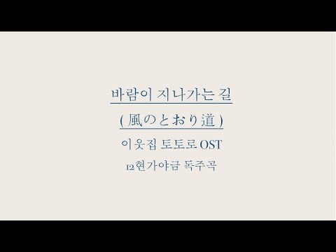 바람이 지나가는 길(風のとおり道)_가야금 (12현가야금) - 가야금