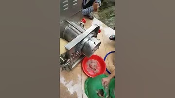 Máy tách xương cá thác lác, máy ép tách thịt cá và xương cá CR300 , 0909134877