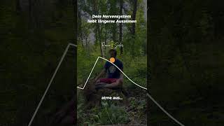Diese Atemtechnik beruhigt viele sofort 🌬️ #breathwork #nervensystem #entspannung