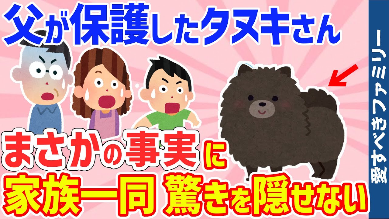 【2chほのぼの話】父が連れ帰ってきたタヌキの衝撃の事実に家族一同驚愕｜他27話詰め合わせ