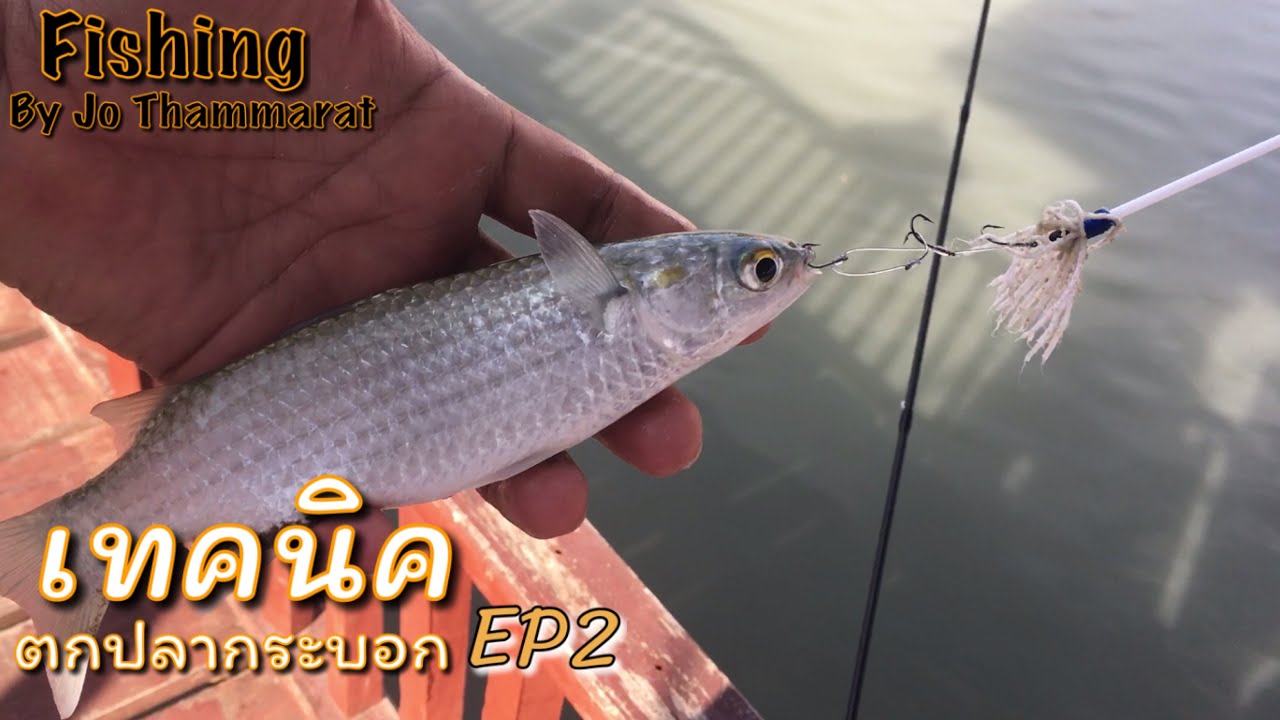 เทคนิคตกปลากระบอก By Jo Thammarat Fishing EP2