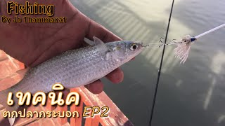 เทคนิคตกปลากระบอก By Jo Thammarat Fishing EP2