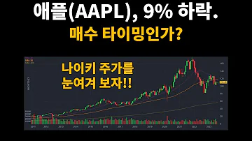 애플 AAPL 9 하락 매수 타이밍인가