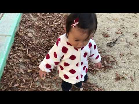 落ち葉さくさく🍂1歳5ヶ月　낙엽이 바삭바삭 🍂 1년 5개월　Crunching fallen leaves 🍂 1 year and 5 months